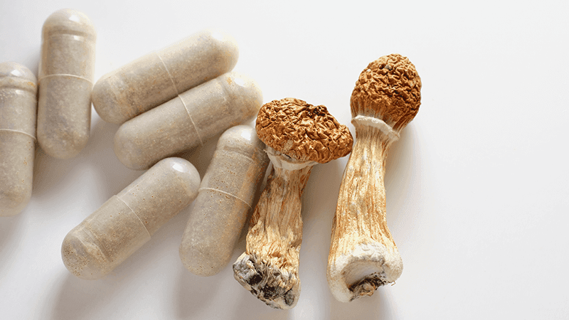 Psilocybin mushrooms next to their capsule equivalent.
