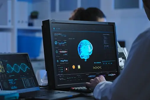 Brain mapping software on a computer