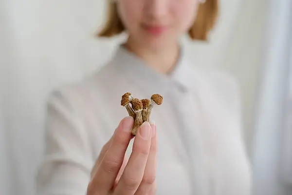 A person holding up psilocybin