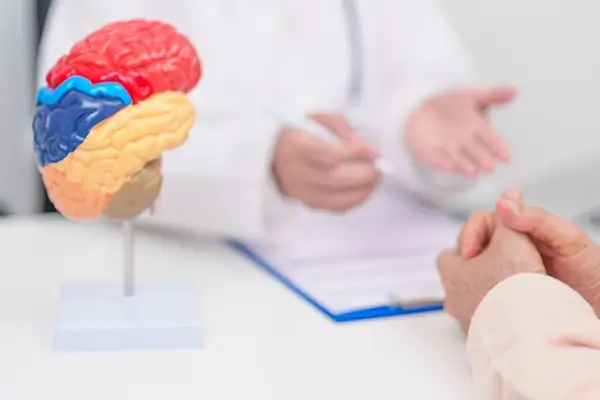 A doctor speaking with a patient with a model of a brain on the table